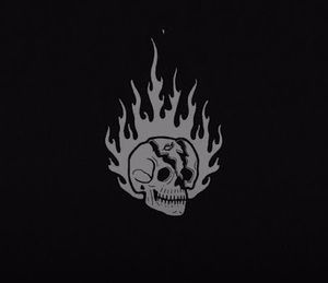 Meet your Posher, Bea